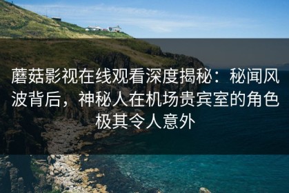 蘑菇影视在线观看深度揭秘：秘闻风波背后，神秘人在机场贵宾室的角色极其令人意外