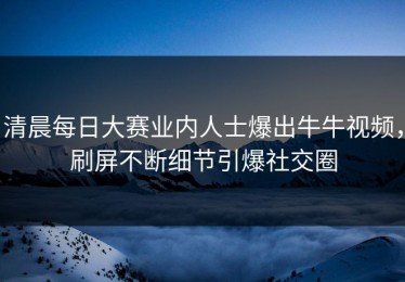清晨每日大赛业内人士爆出牛牛视频，刷屏不断细节引爆社交圈
