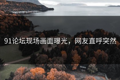 91论坛现场画面曝光，网友直呼突然