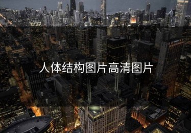 人体结构图片高清图片