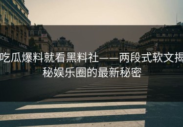 吃瓜爆料就看黑料社——两段式软文揭秘娱乐圈的最新秘密