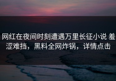 网红在夜间时刻遭遇万里长征小说 羞涩难挡，黑料全网炸锅，详情点击