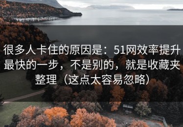 很多人卡住的原因是：51网效率提升最快的一步，不是别的，就是收藏夹整理（这点太容易忽略）