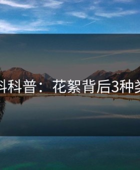 黑料科普：花絮背后3种类型