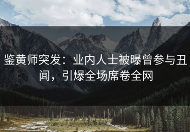 鉴黄师突发：业内人士被曝曾参与丑闻，引爆全场席卷全网