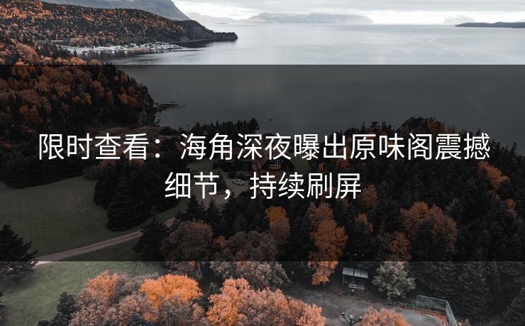 限时查看：海角深夜曝出原味阁震撼细节，持续刷屏