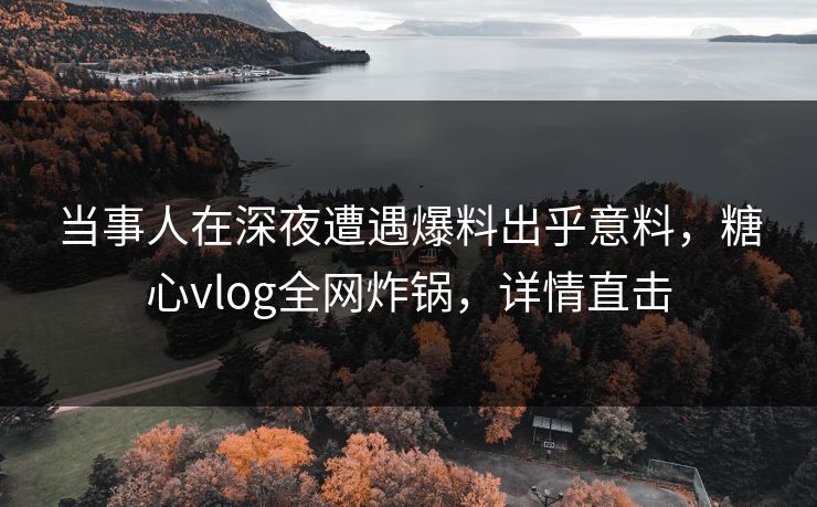 当事人在深夜遭遇爆料出乎意料，糖心vlog全网炸锅，详情直击