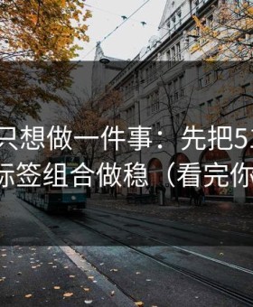 如果你只想做一件事：先把51视频网站的标签组合做稳（看完你就懂）