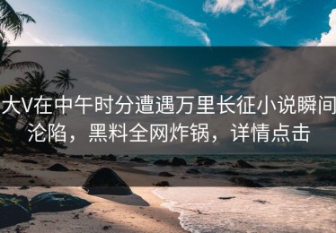 大V在中午时分遭遇万里长征小说瞬间沦陷，黑料全网炸锅，详情点击