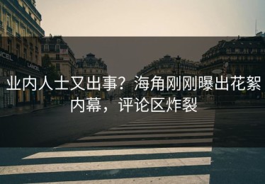 业内人士又出事？海角刚刚曝出花絮内幕，评论区炸裂
