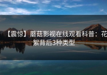 【震惊】蘑菇影视在线观看科普：花絮背后3种类型