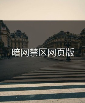 暗网禁区网页版