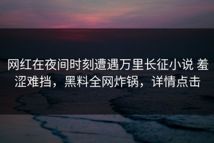 网红在夜间时刻遭遇万里长征小说 羞涩难挡，黑料全网炸锅，详情点击