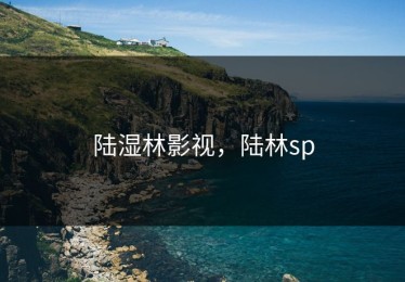 陆湿林影视，陆林sp