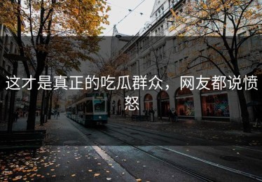 这才是真正的吃瓜群众，网友都说愤怒