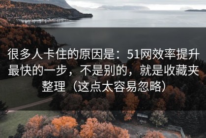 很多人卡住的原因是：51网效率提升最快的一步，不是别的，就是收藏夹整理（这点太容易忽略）