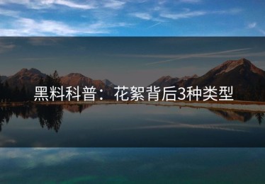 黑料科普：花絮背后3种类型